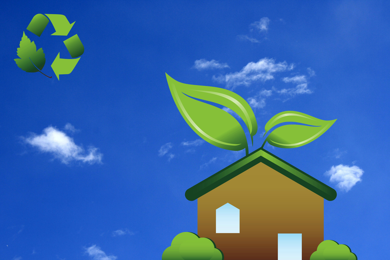 How to Make Your Home More Green